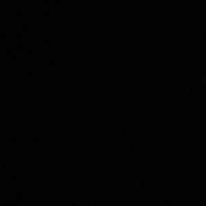 Meet your Posher, Riley